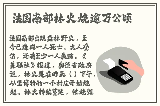 柴犬ari87